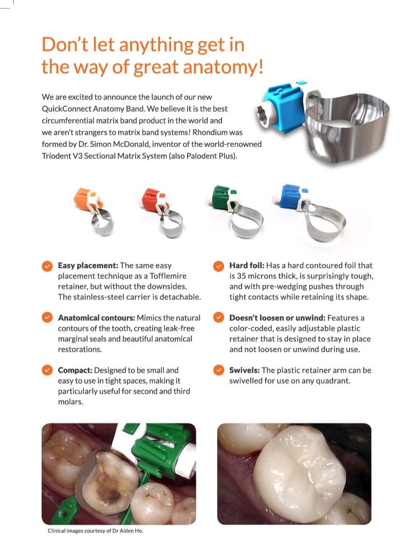 RHONDIUM QUICK CONNECT ANATOMY BAND